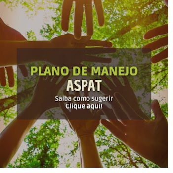 aspat2.png