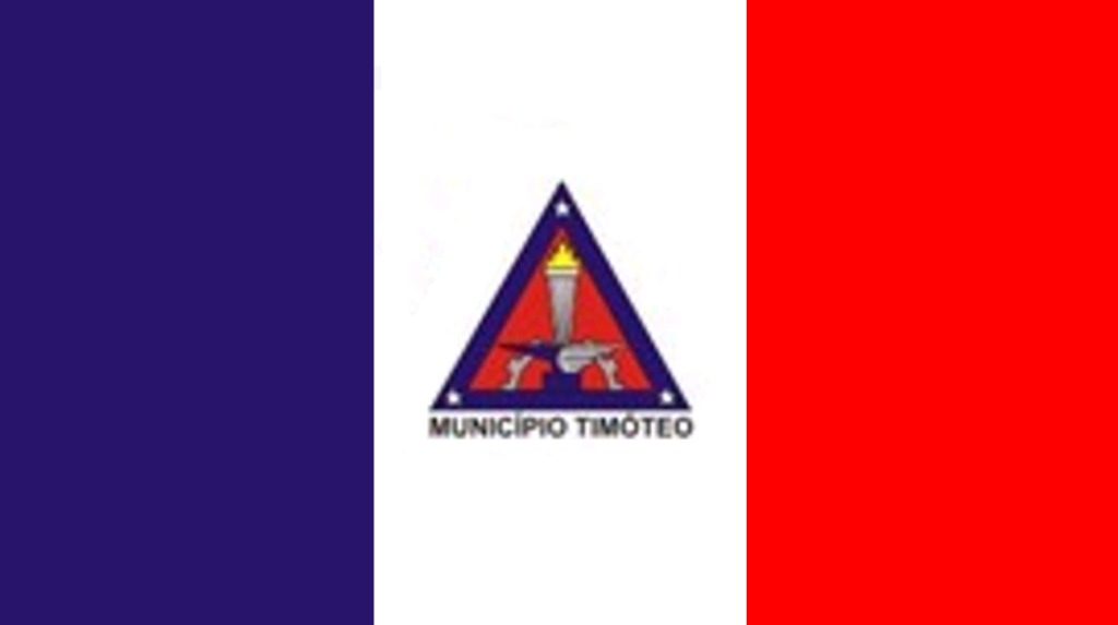 Bandeira do Município