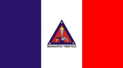 Bandeira do Município