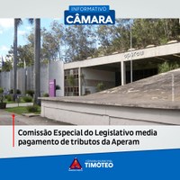 Comissão Especial do Legislativo media pagamento de tributos da Aperam 