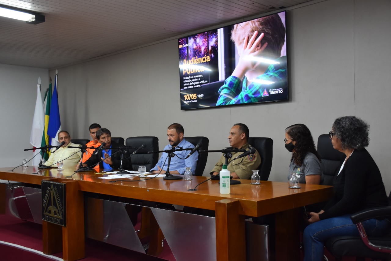 Proibição de fogos de artifício com efeitos sonoros tem apoio da população