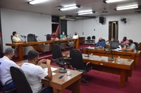 Reunião de comissão aprova projetos de inclusão social e saúde 